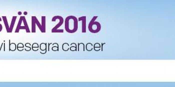 Logotyp med Företagsvän 2016 - Tillsammans kan vi besegra cancer Cancerfonden