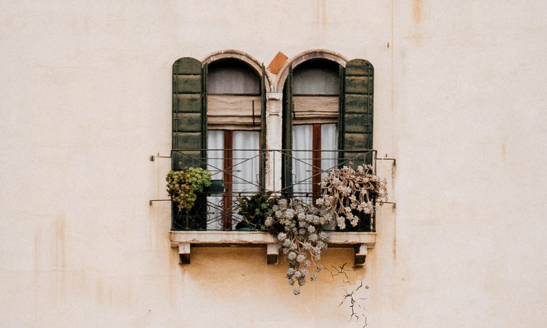 Bild på ett fönster med blommor